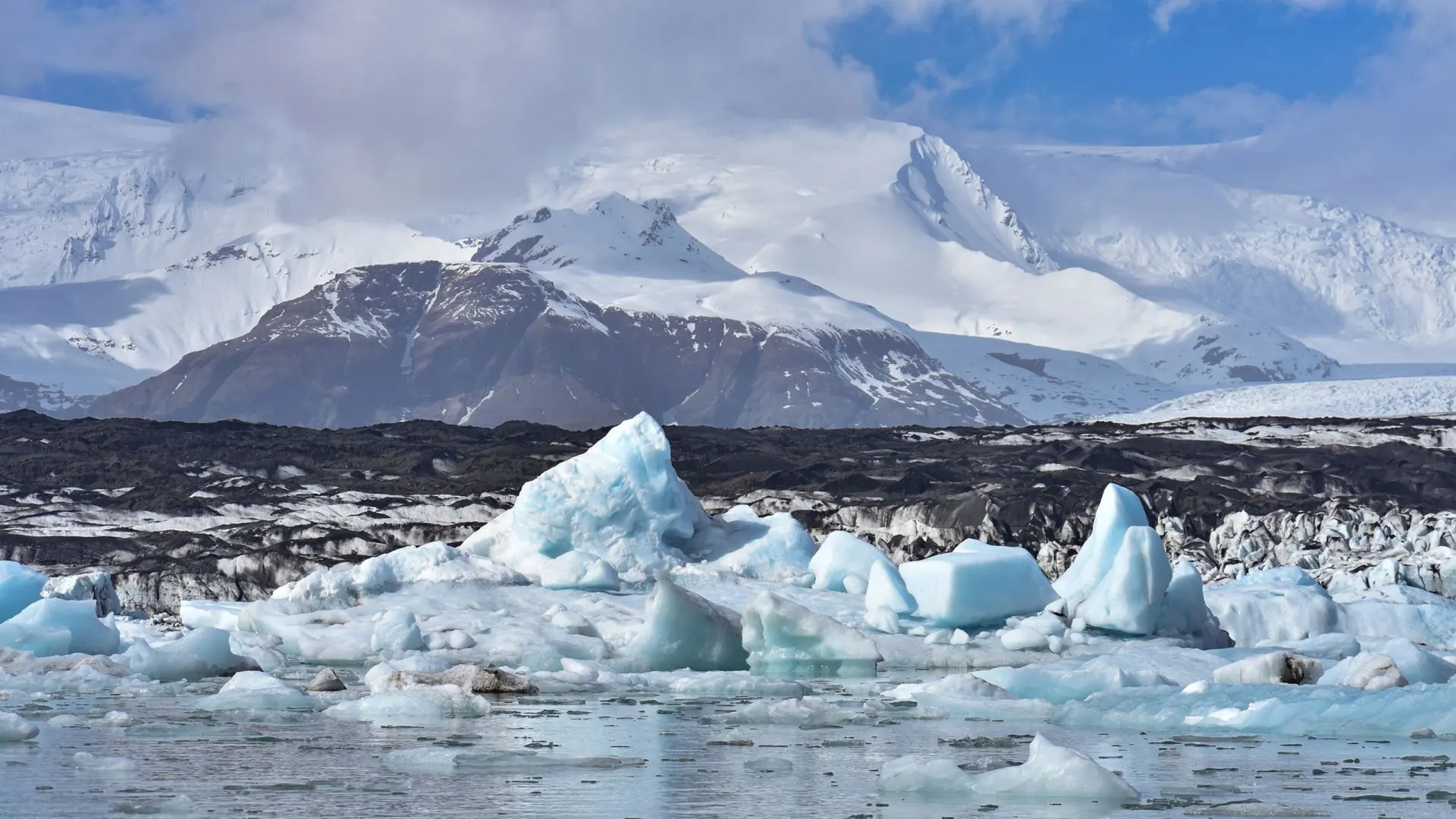 Фото: Craig Cooper / Shutterstock / Fotodom