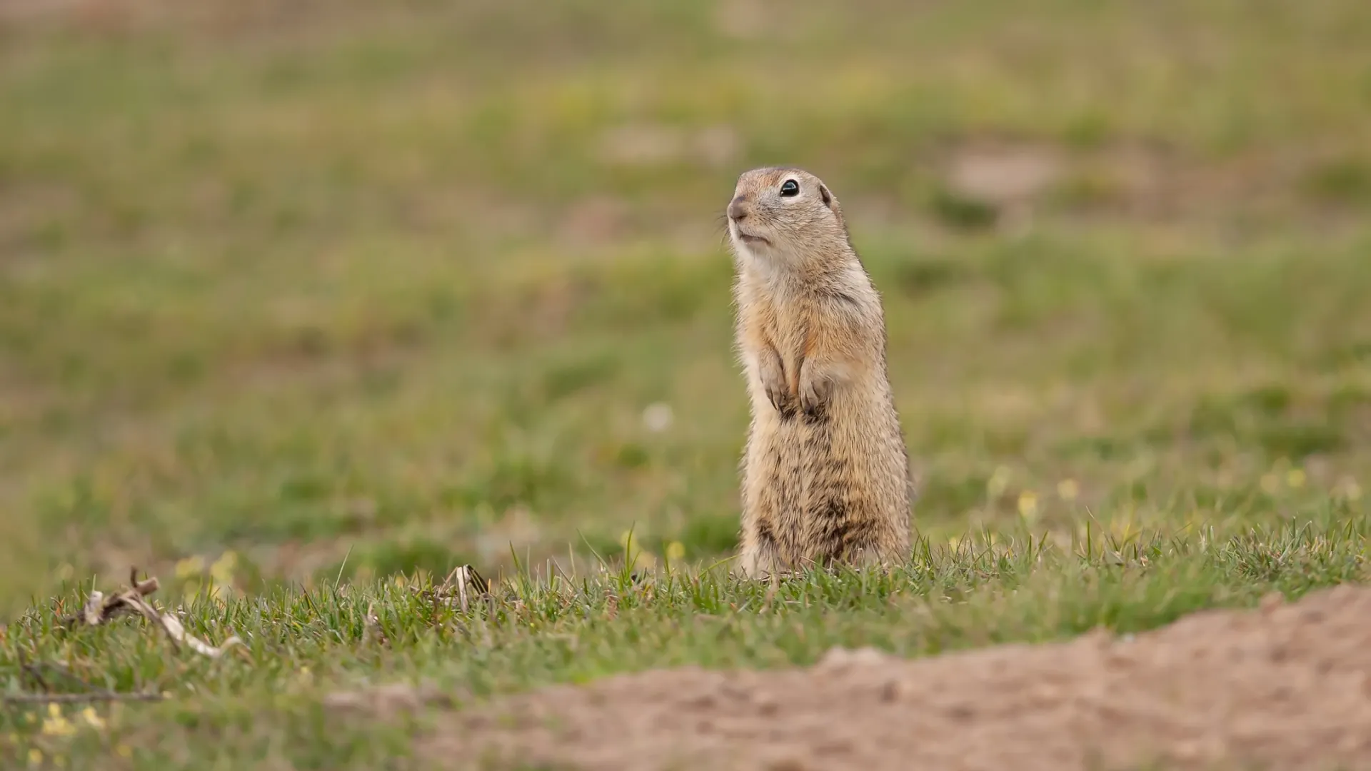 Фото: Manamana/Shutterstock/Fotodom