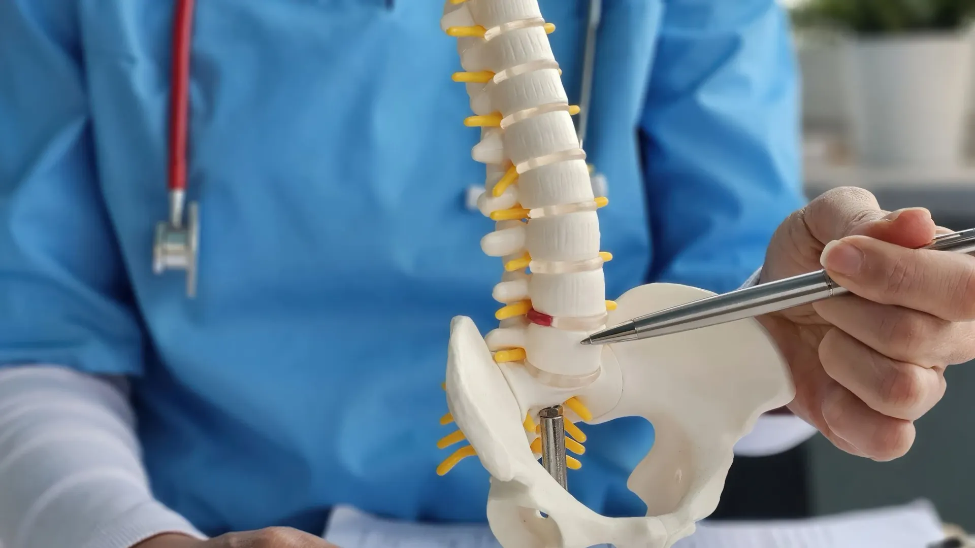 Фото: NMK-Studio/Shutterstock/Fotodom