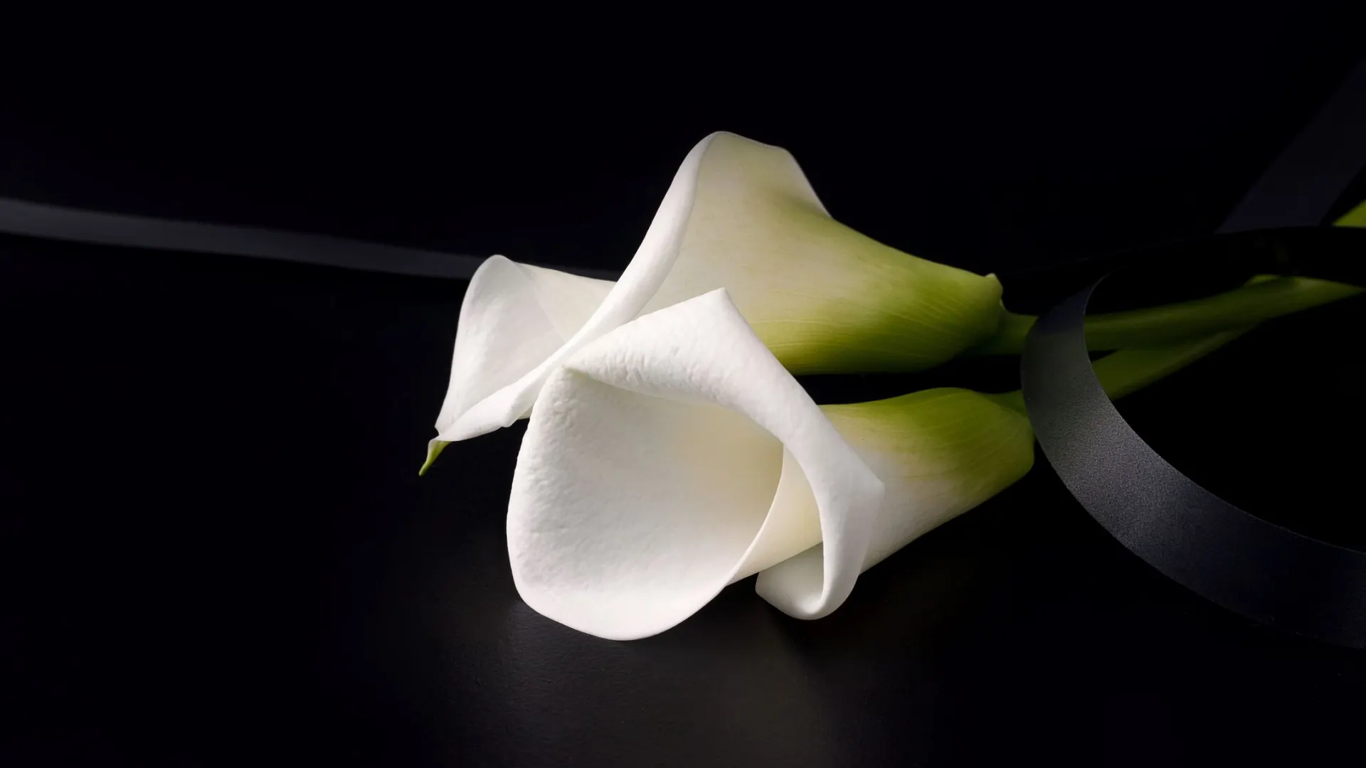 Фото: Marharyta M/Shutterstock/Fotodom