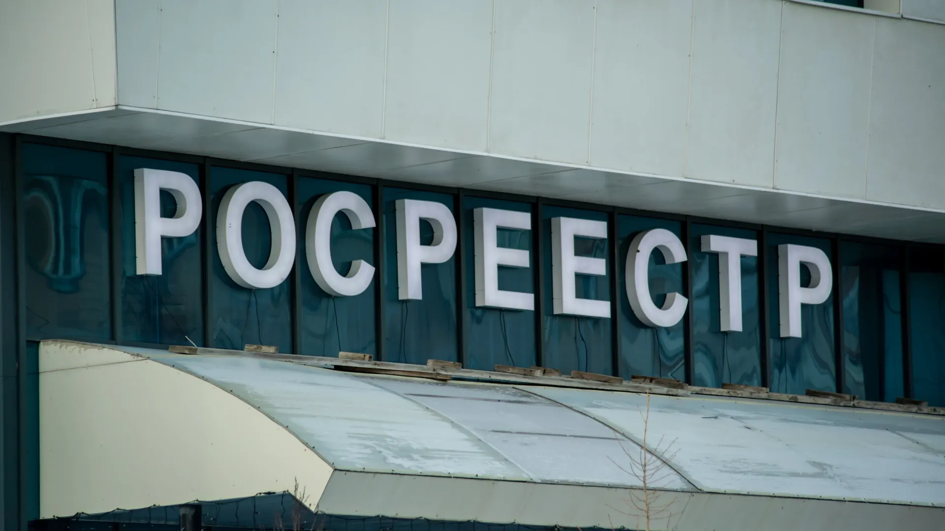 Фото: Сергей Зубков / «Ямал-Медиа»