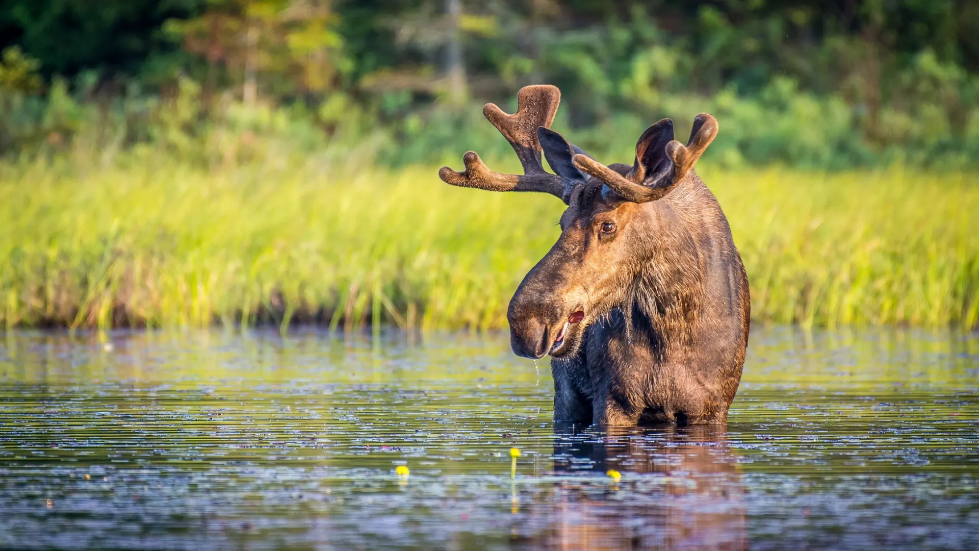 Фото: Mark Byer/Shutterstock/Fotodom