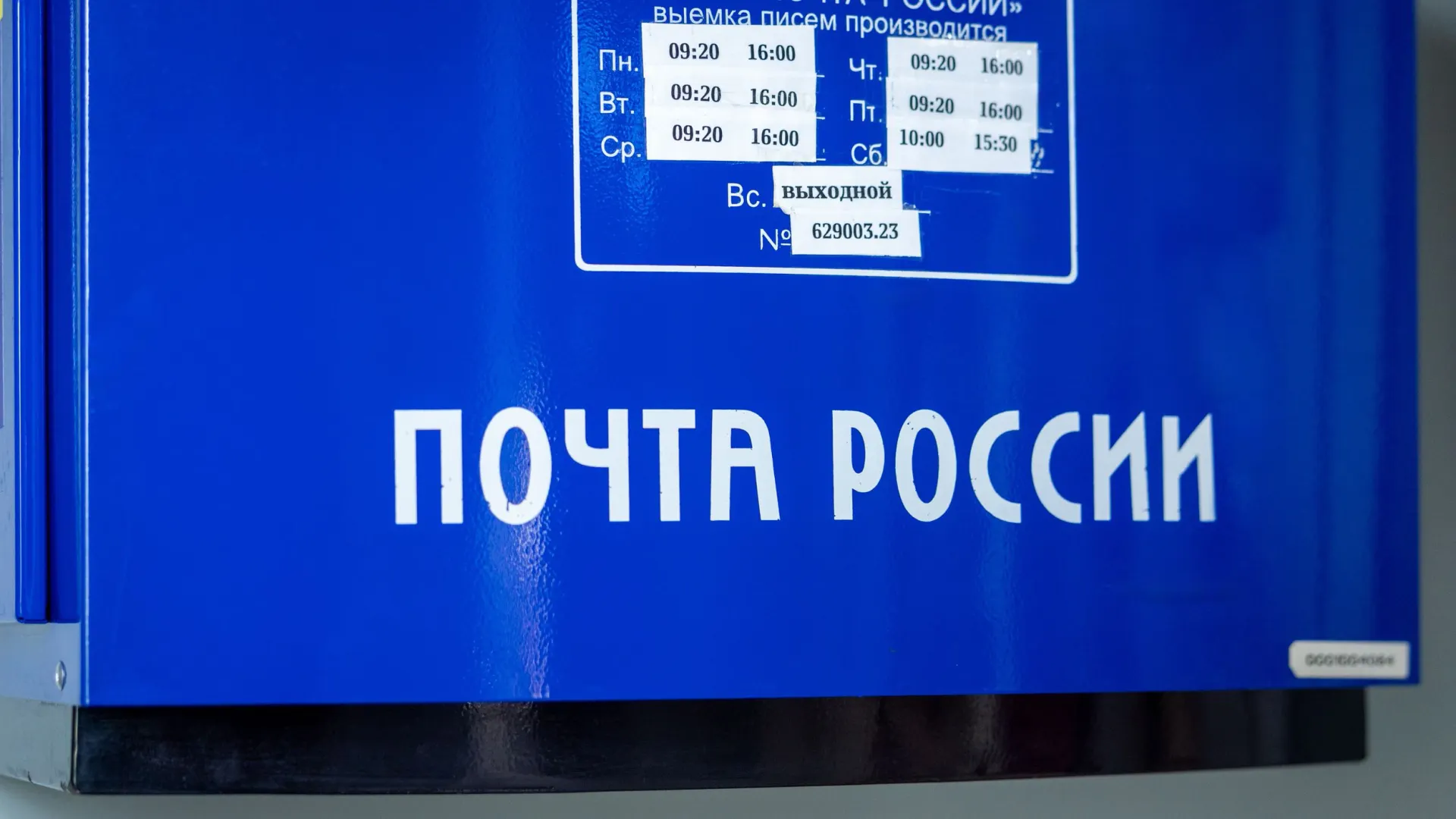 Фото: Федор Воронов / «Ямал-Медиа»