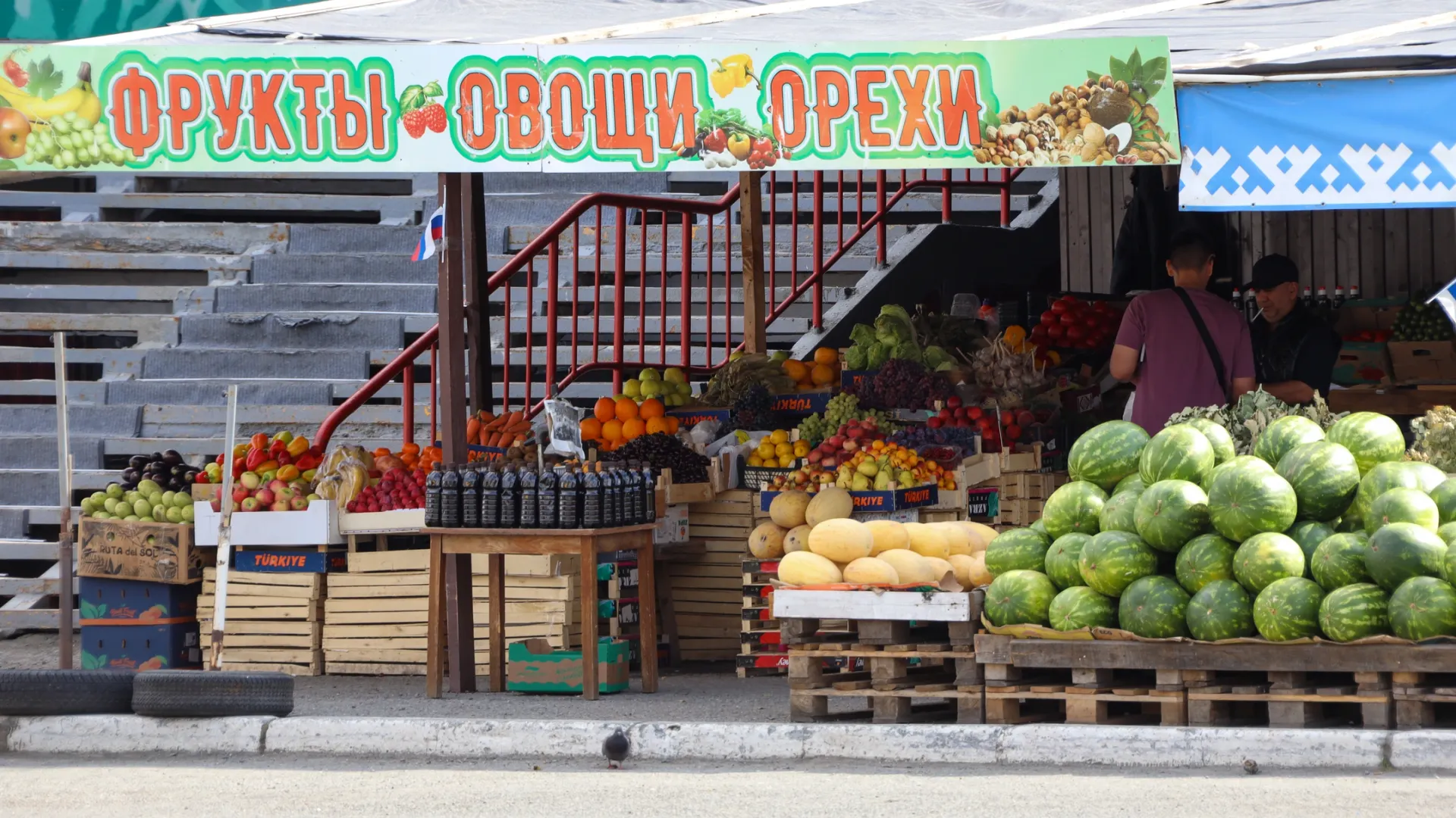 Фото: Василий Петров / «Ямал-Медиа»