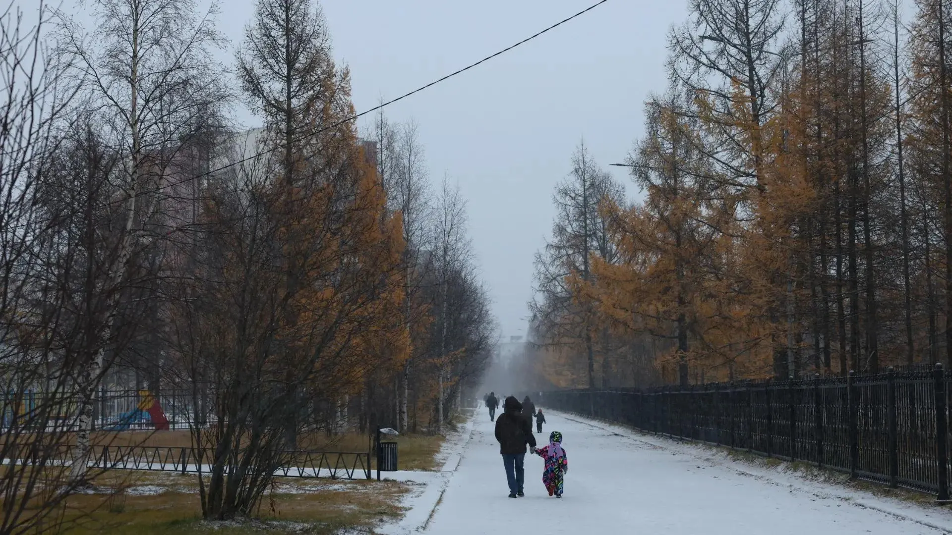 Фото: Сергей Решетов / «Ямал-Медиа»