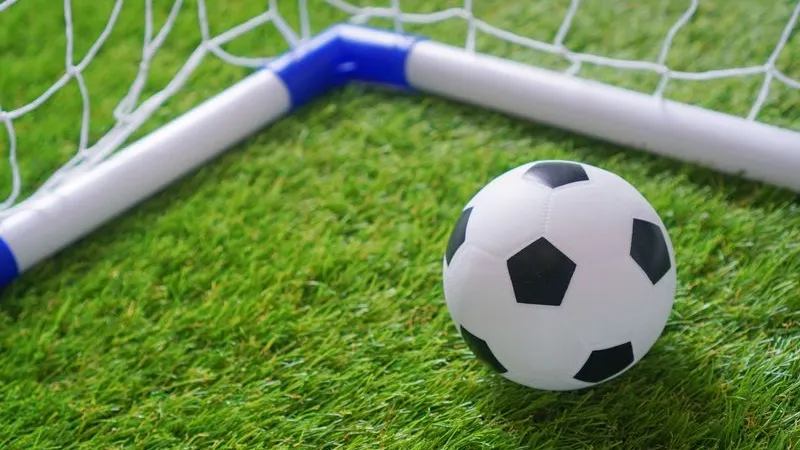 Фото: Varavin88 / Shutterstock / Fotodom