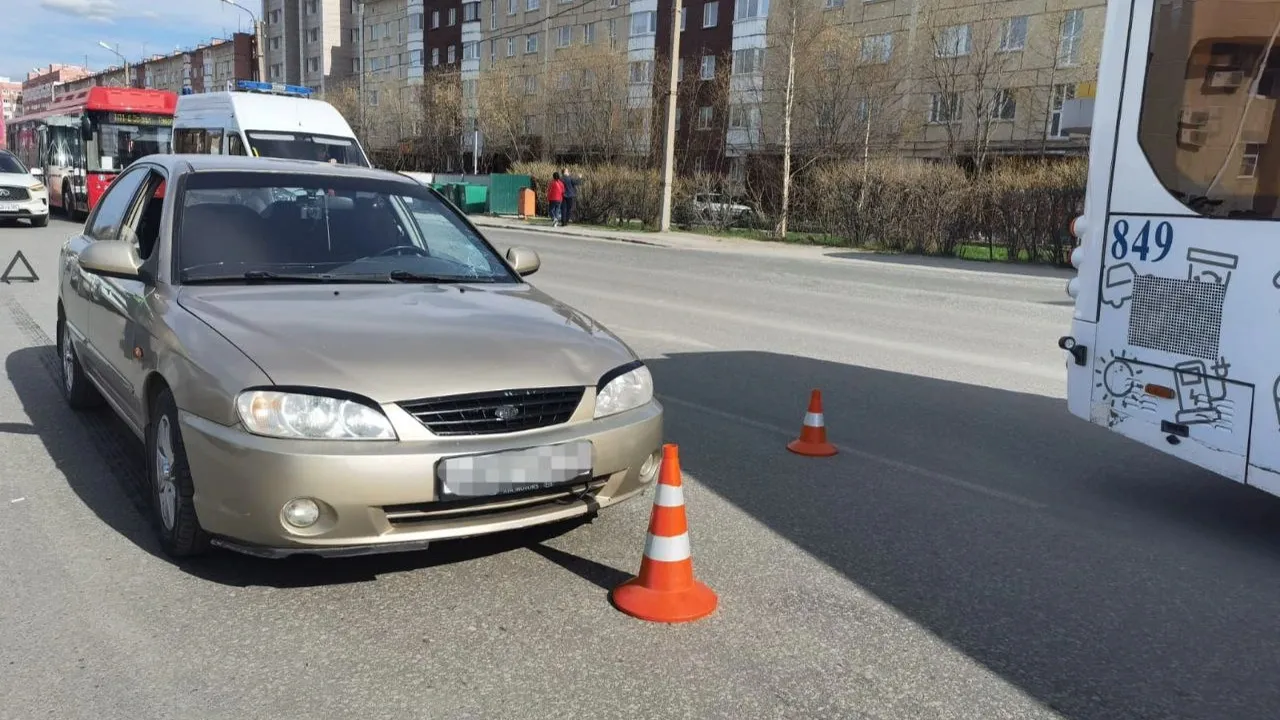 Фото предоставлено пресс-службой Госавтоинспекции Нового Уренгоя