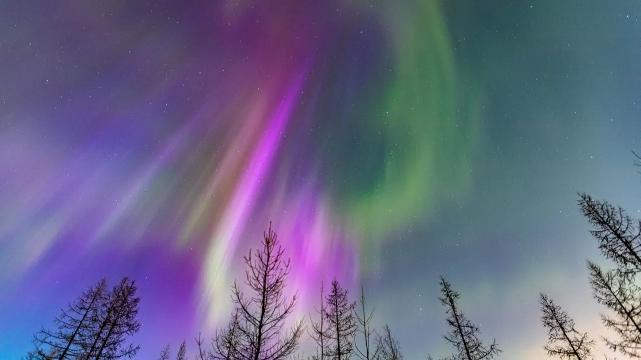Фото: личный архив Олеси Ячушко