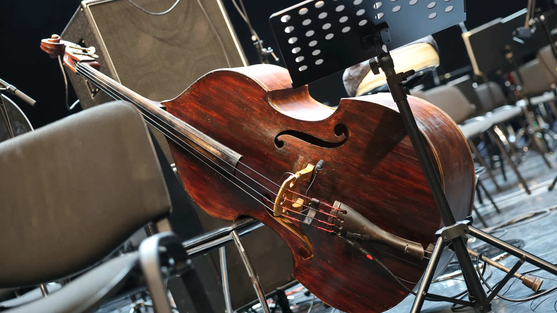 Фото: Андрей Ткачев / «Ямал-Медиа»