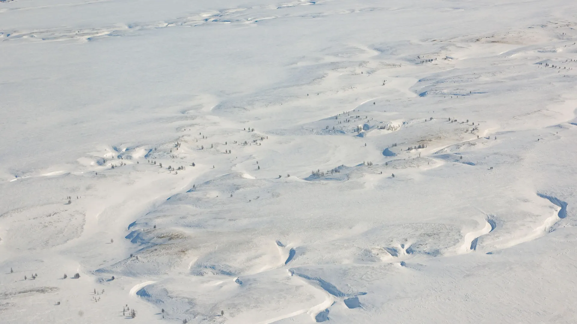 Фото: Андрей Ткачев / «Ямал-Медиа»