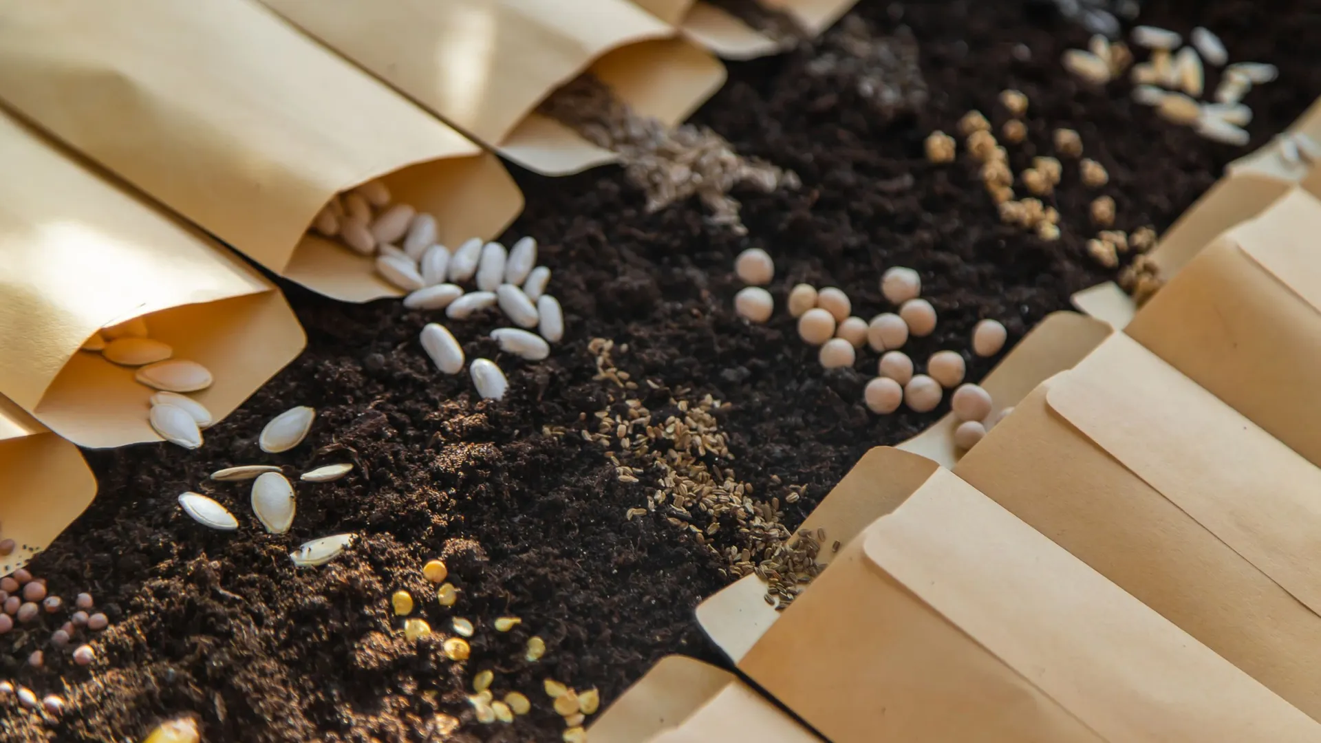 Фото: Tatevosian Yana / Shutterstock / Fotodom