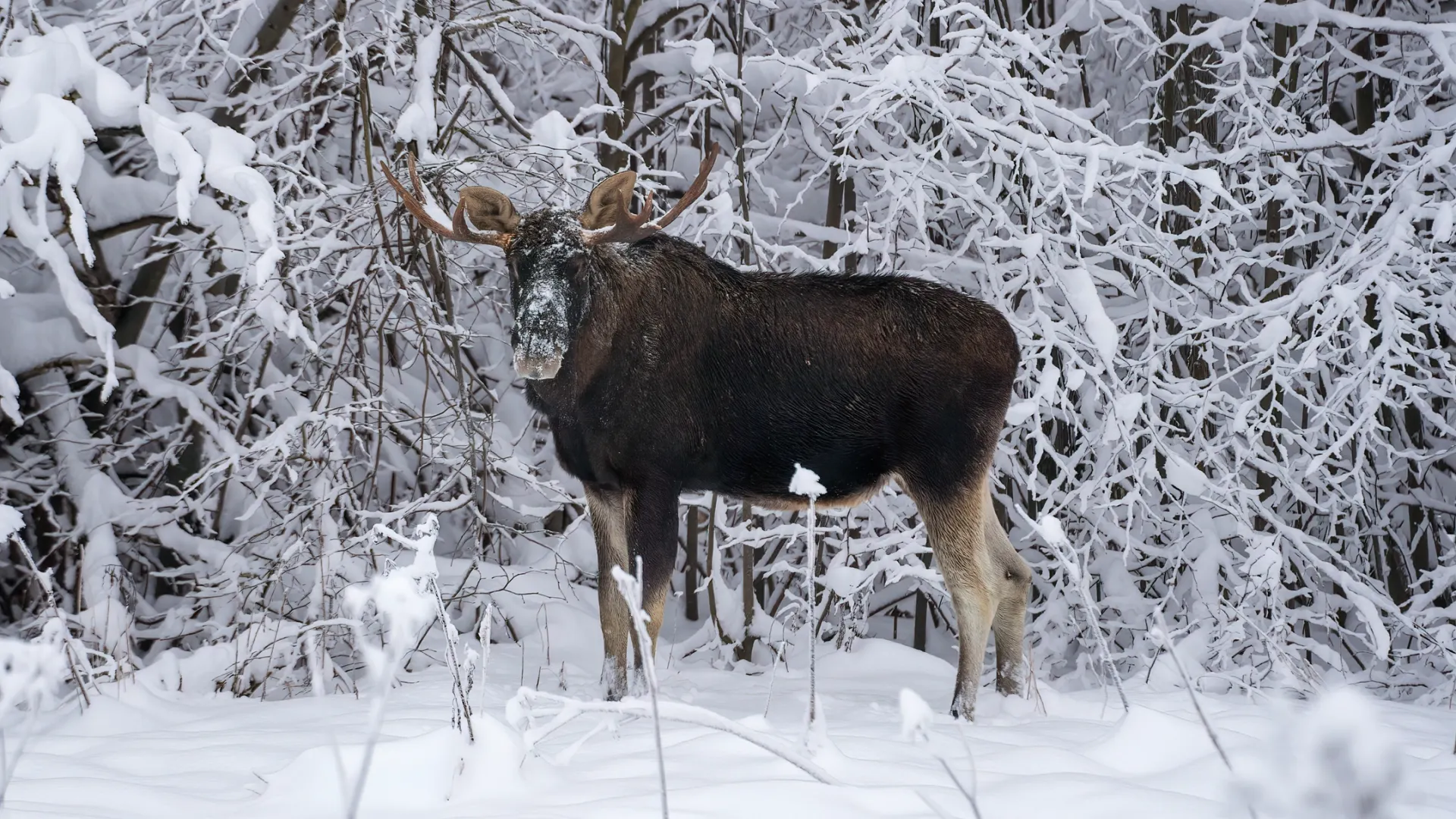 Фото: Tia Gata / Shutterstock / Fotodom