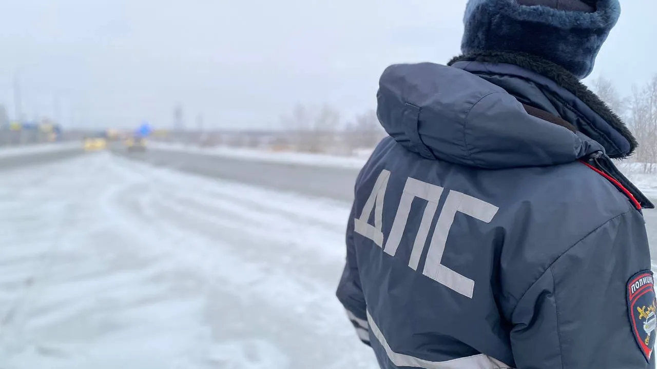 Фото: Роман Земсков/ИА "Север-Пресс"