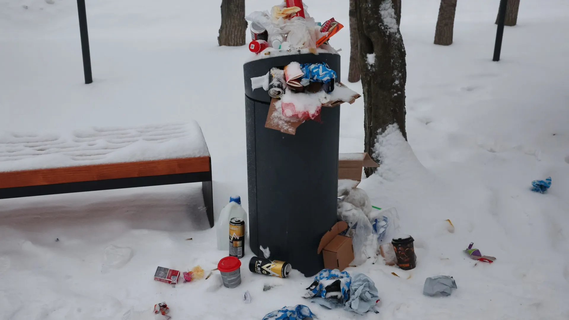 Фото: Андрей Ткачев / «Ямал-Медиа»