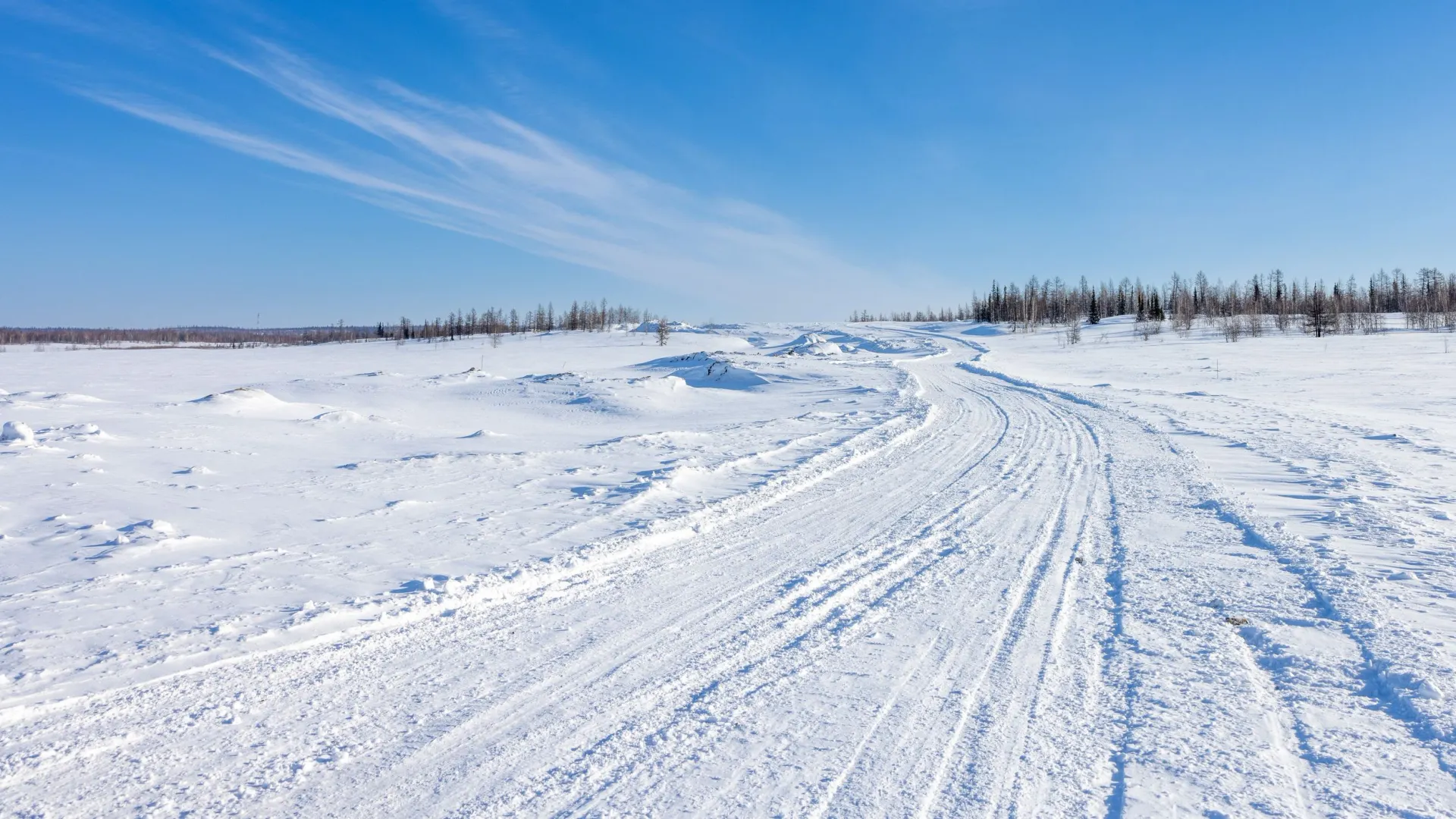 Фото: Федор Воронов / «Ямал-Медиа»
