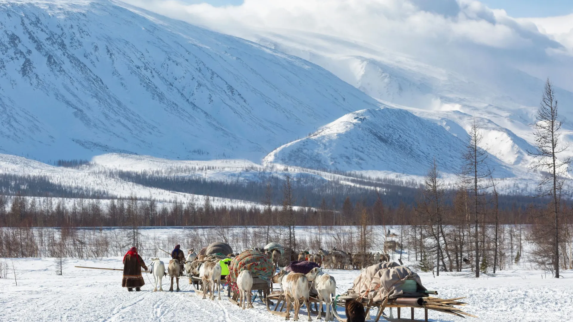 Известный путешественник посетил стойбище на Полярном Урале. Фото: Shchipkova Elena / Shutterstock / Fotodom