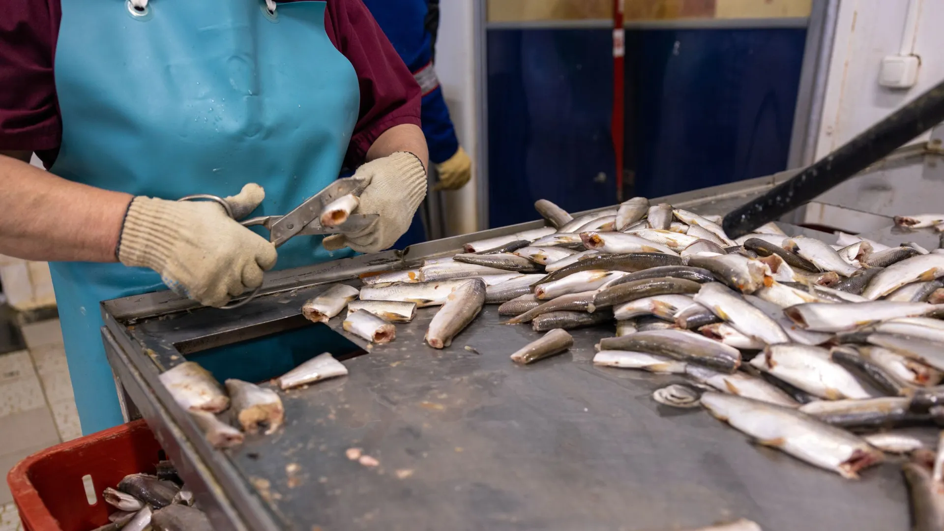 Фото: Федор Воронов / «Ямал-Медиа»