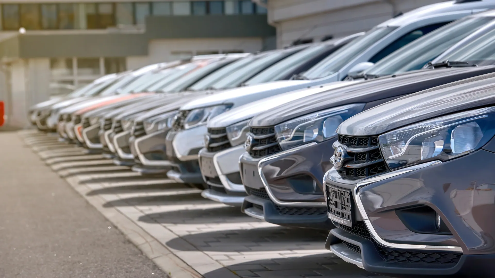 Фото: Tricky_Shark / Shutterstock / Fotodom