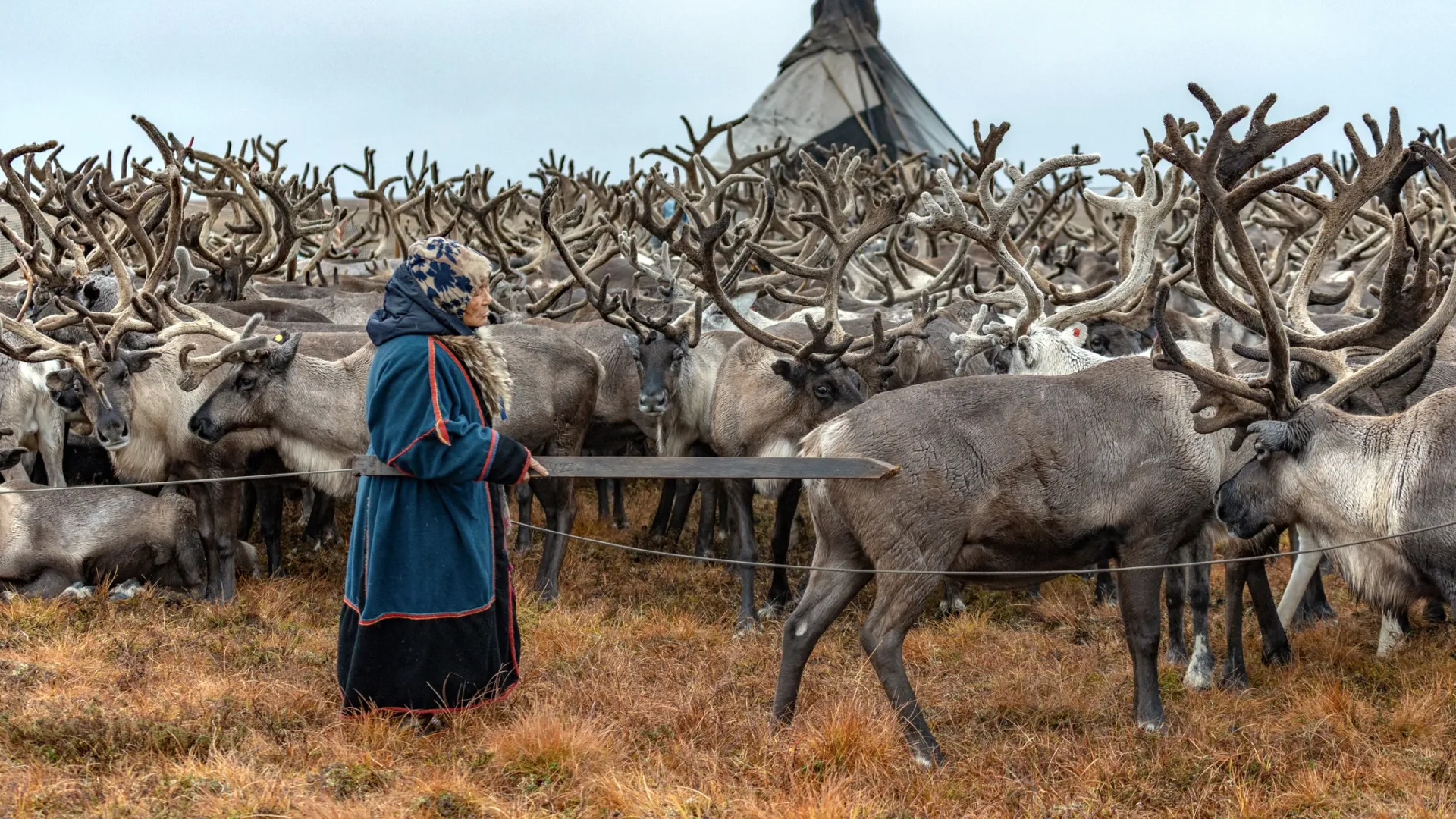 Фото было сделано во время командировки в Юрибей. Фото: Федор Воронов / «Ямал-Медиа»