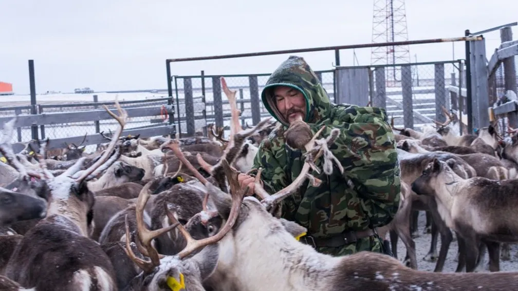 Фото с сайта mo-yamal.ru