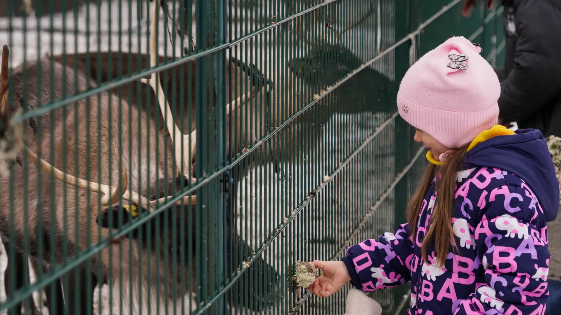 Экоквест. Фото: Диана Цыганкова