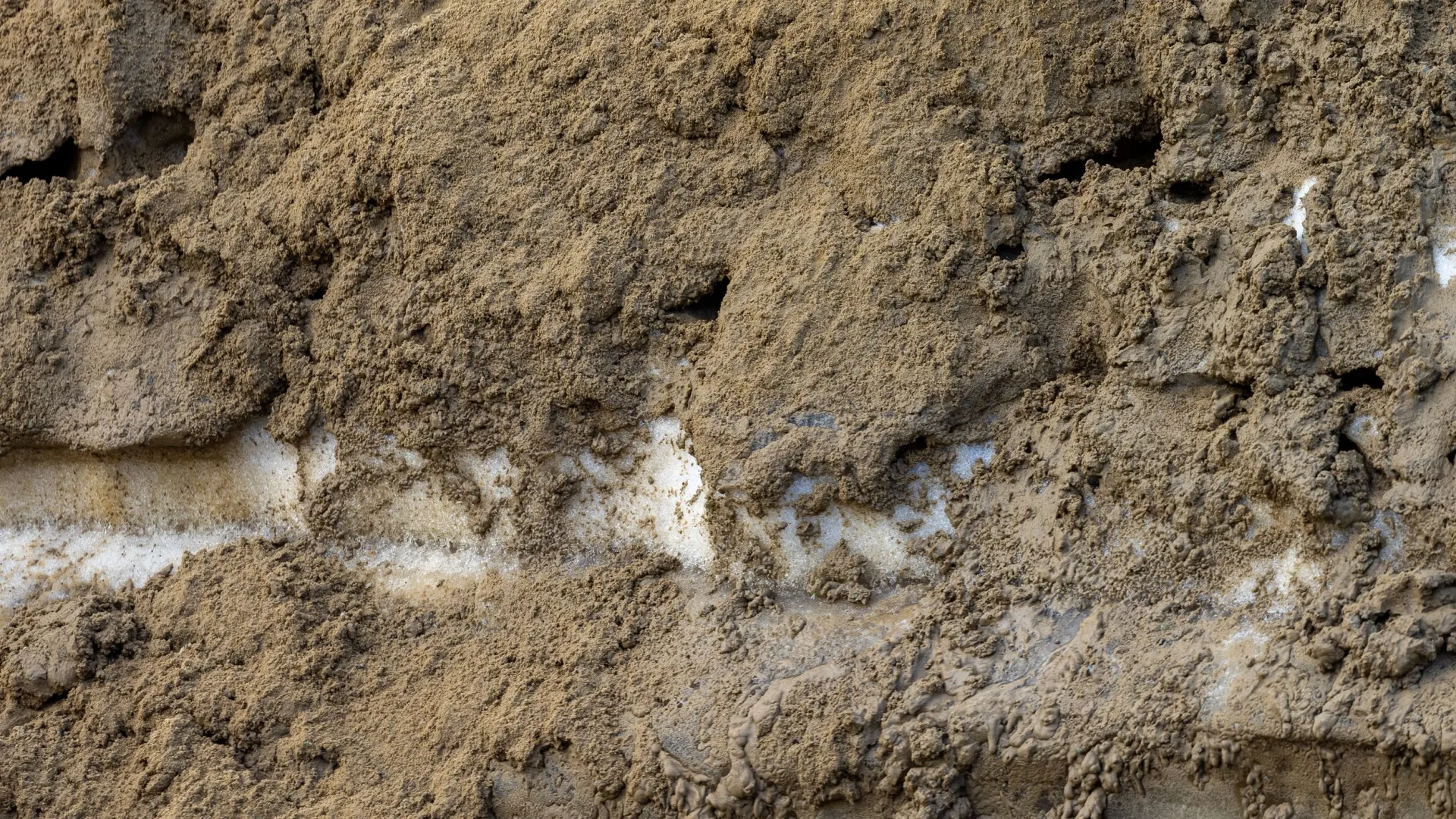 Фото: Федор Воронов / «Ямал-Медиа»