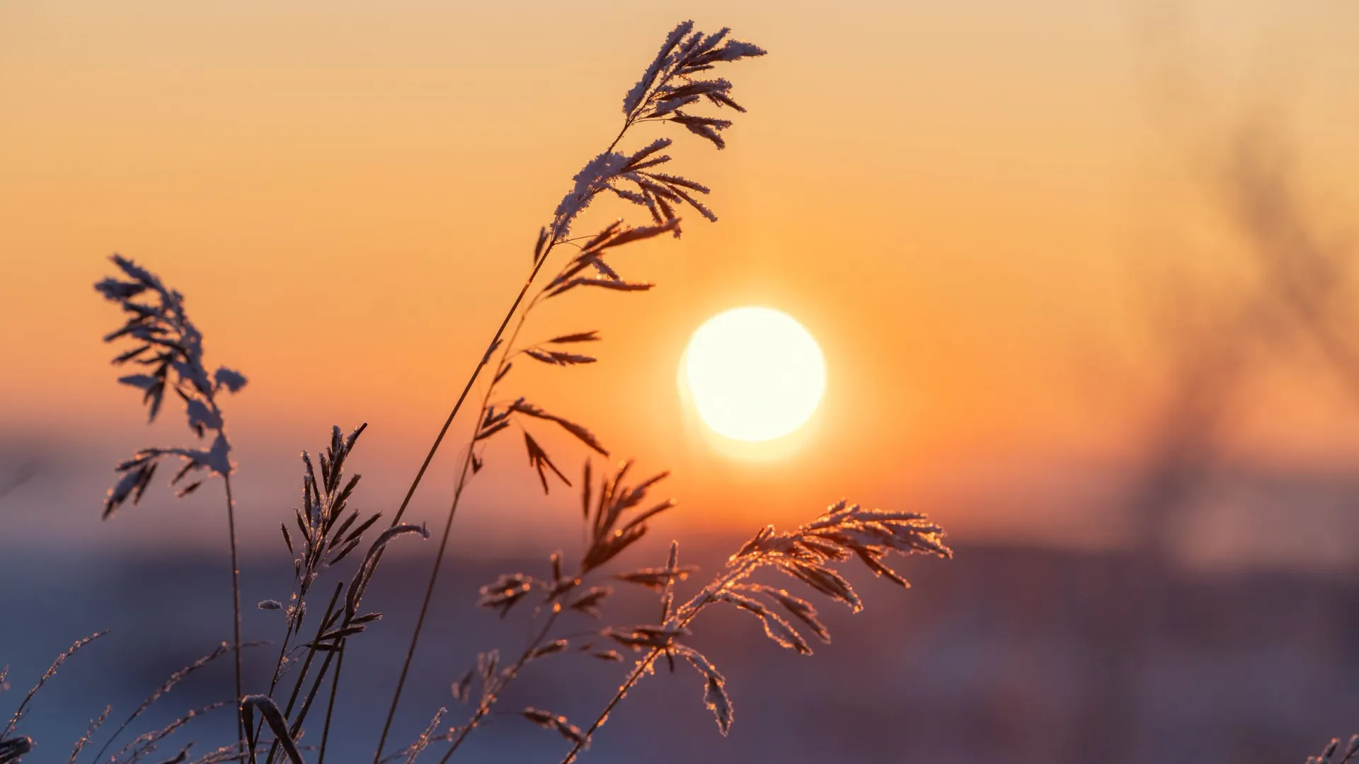 Фото: Федор Воронов / «Ямал-Медиа»