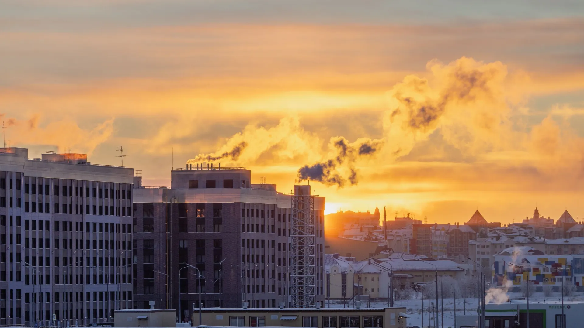 Фото: Федор Воронов / «Ямал-Медиа»