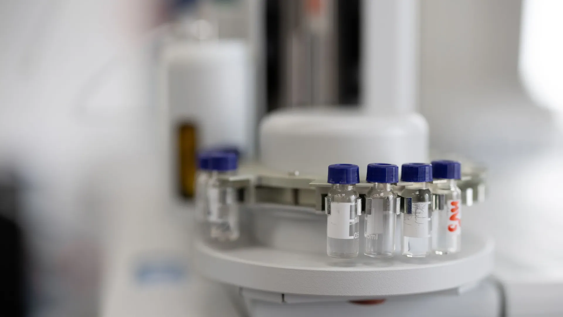 Фото: Сергей Зубков / «Ямал-Медиа»