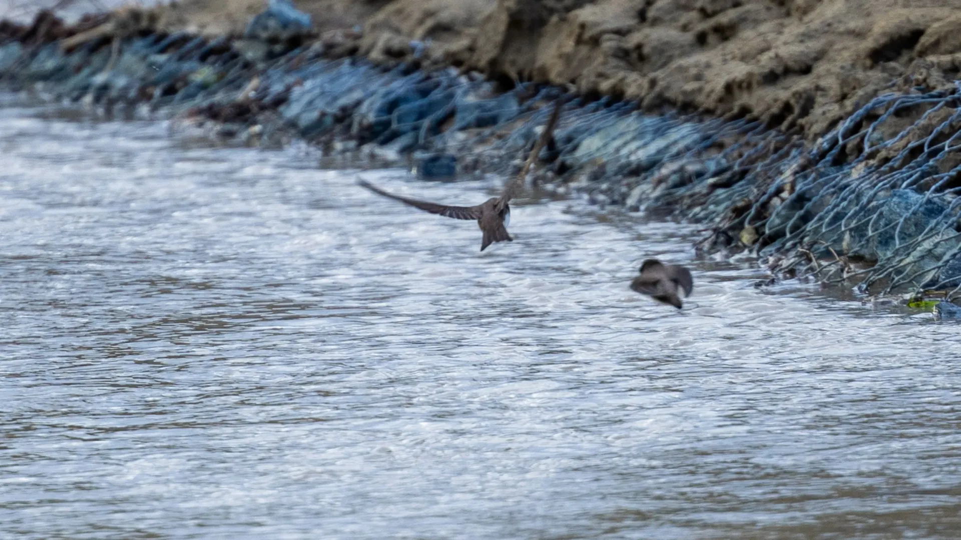 Фото: Федор Воронов / «Ямал-Медиа»