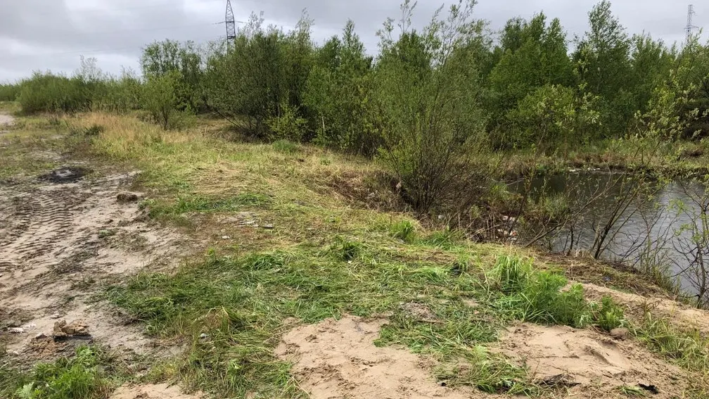 nadymregion.ru