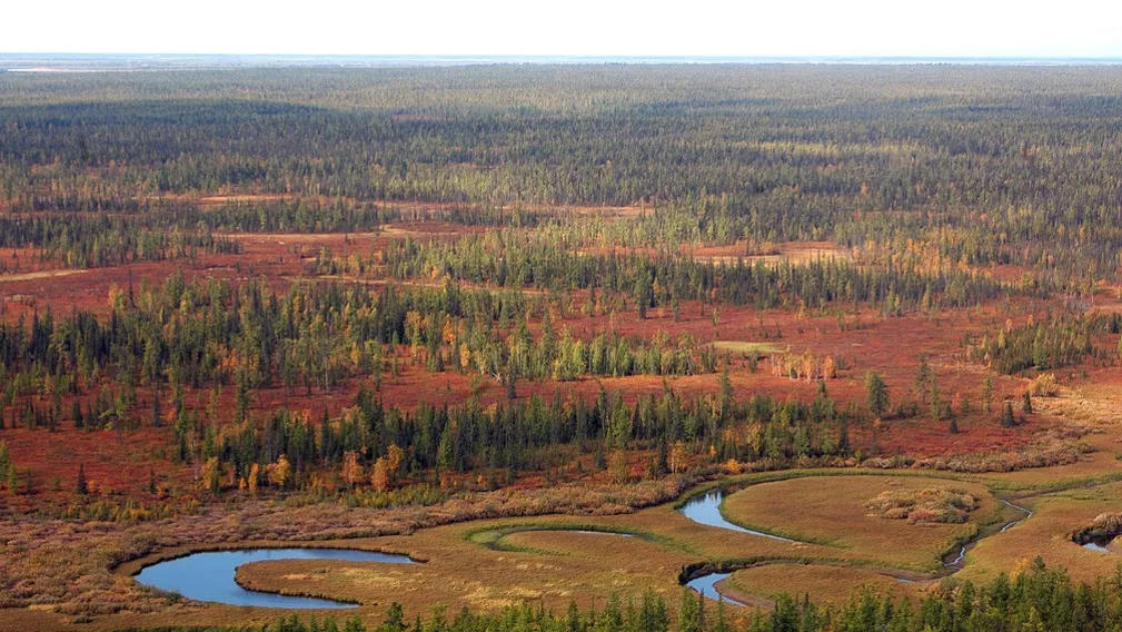 Фото с сайта yanao.ru