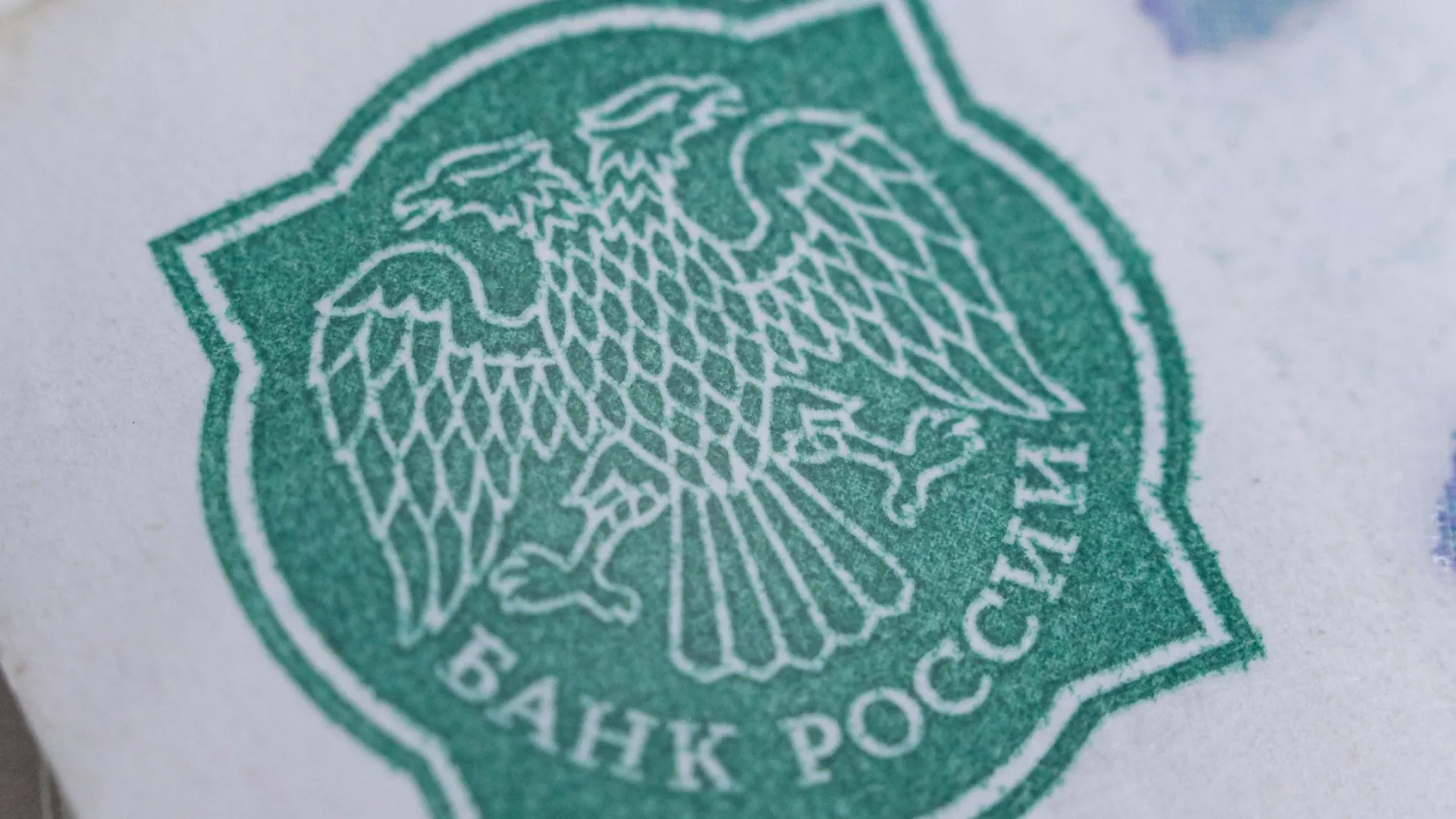 Фото: Андрей Ткачев / «Ямал-Медиа»