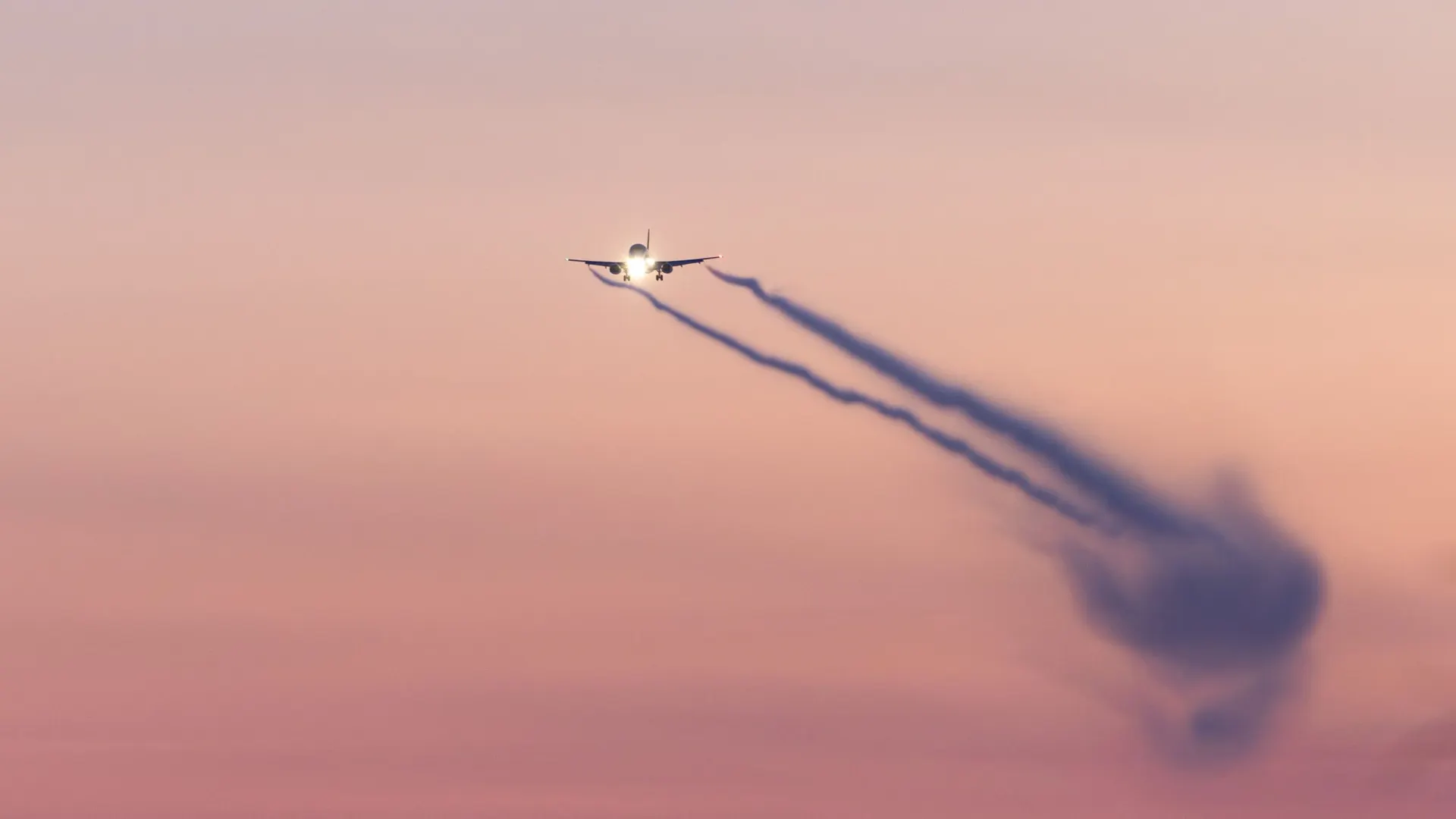 Фото: Федор Воронов / «Ямал-Медиа»