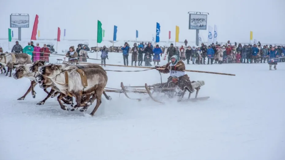 Фото Администрацим Ямальского района