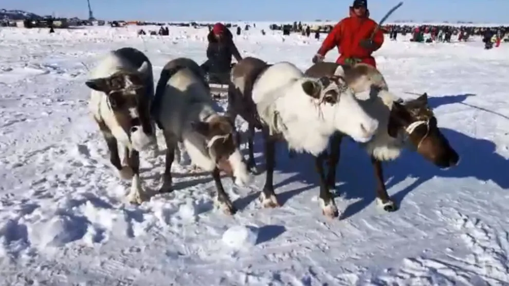 Фото из группы ВКонтакте Тазовский район