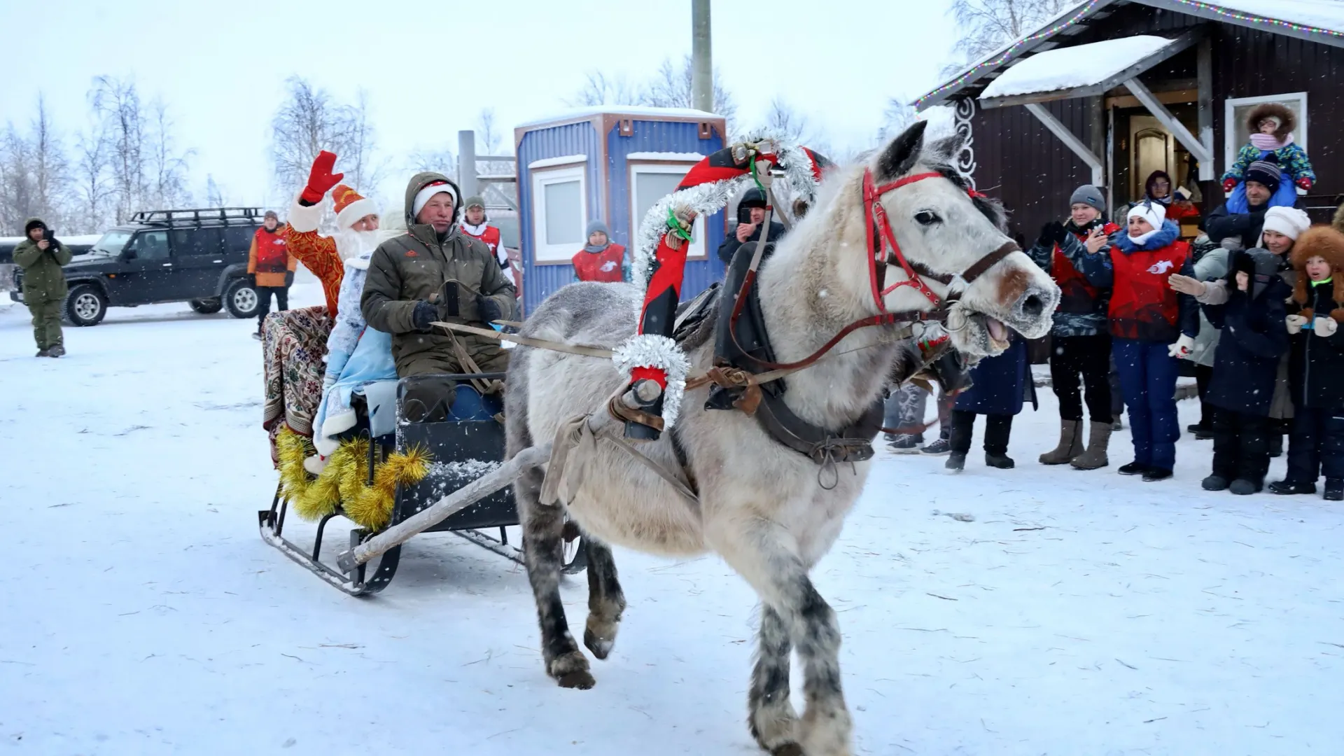 Фото: Василий Петров / «Ямал-Медиа»