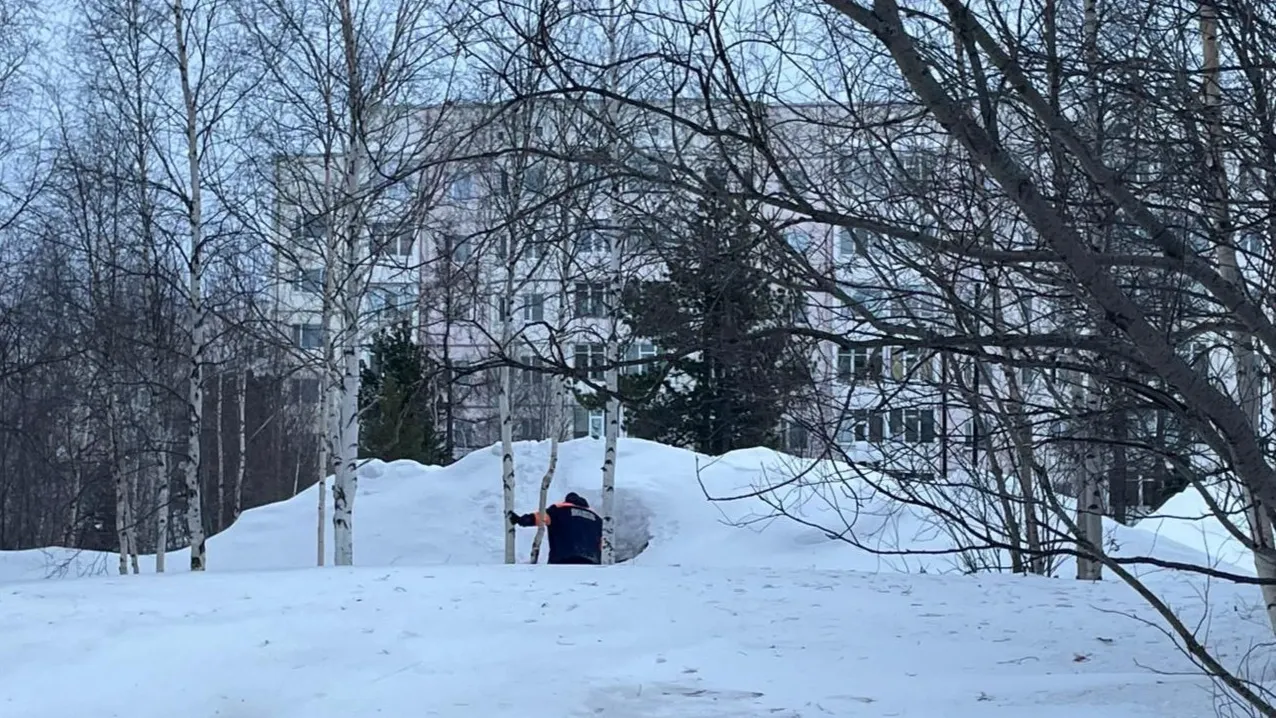 Фото: предоставлено ГКУ «Ямалспас»