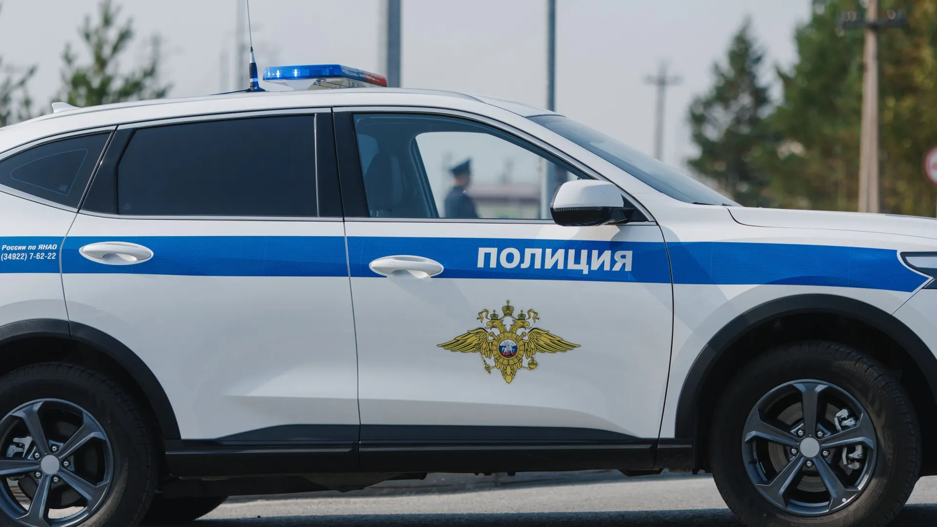 Фото: Алина Дьякова / «Ямал-Медиа»