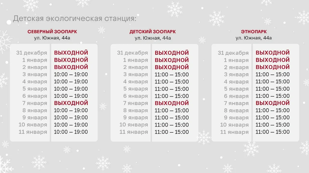 Фото: администрация Нового Уренгоя / vk.com/nuryanaoru