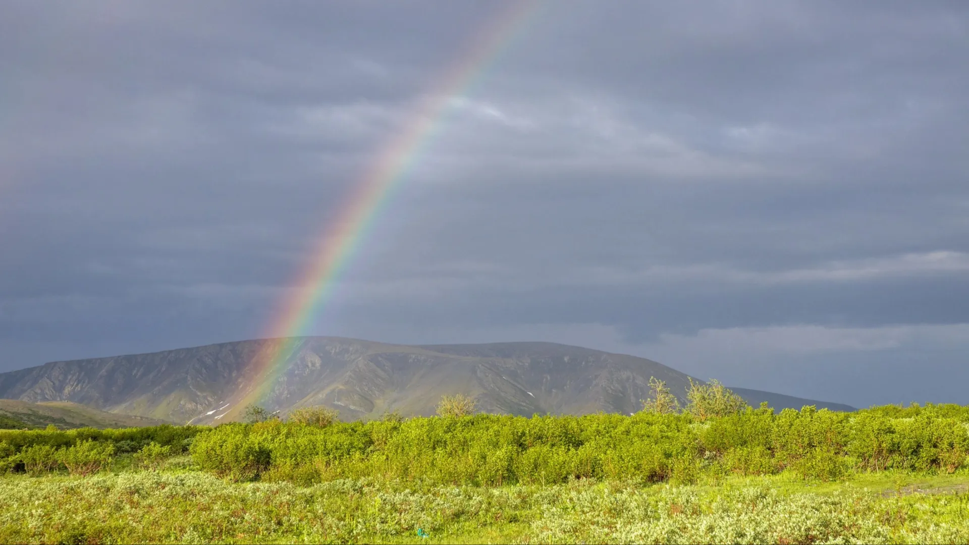 Заповедный Ямал. Фото: Федор Воронов / «Ямал-Медиа»