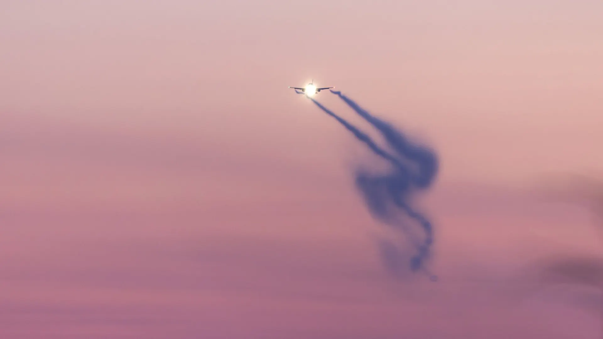 Фото: Федор Воронов / «Ямал-Медиа»