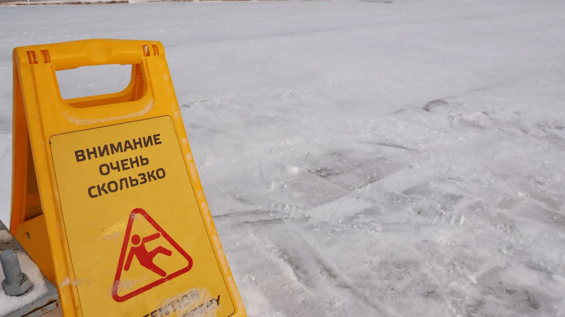 Фото: Андрей Ткачев / «Ямал-Медиа»