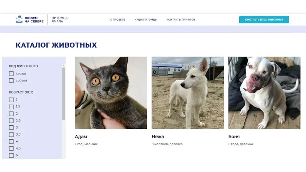 Фото: скриншот сайта питомцыживемнасевере.рф