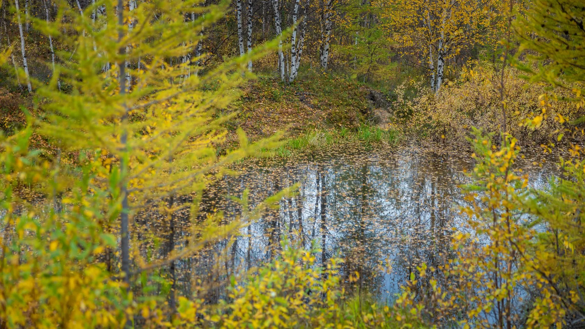 Фото: Федор Воронов / «Ямал-Медиа»