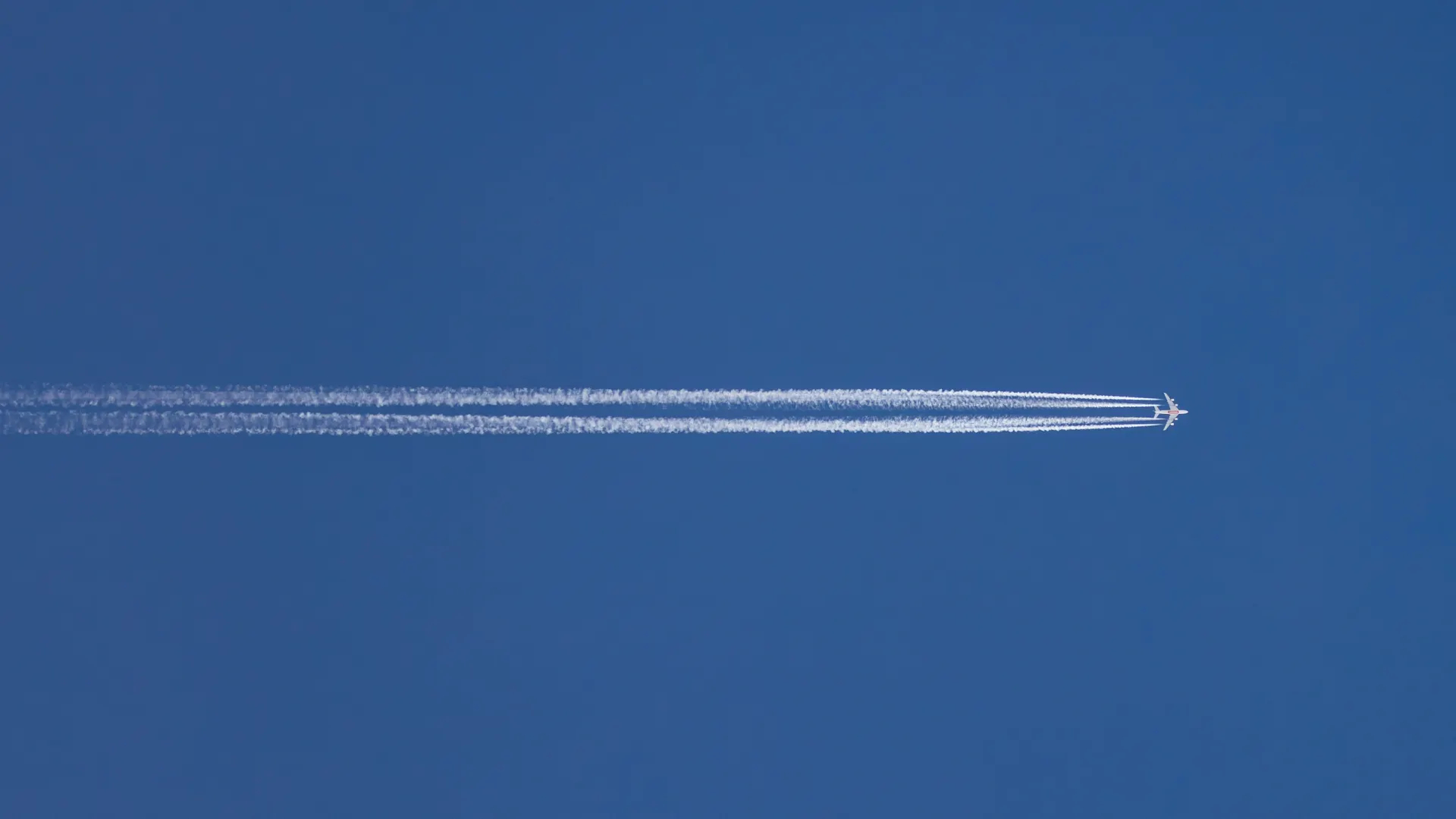 Фото: Федор Воронов / «Ямал-Медиа»