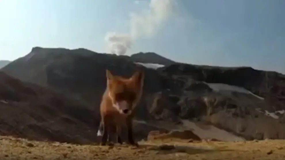 Фото с видео riafan.ru