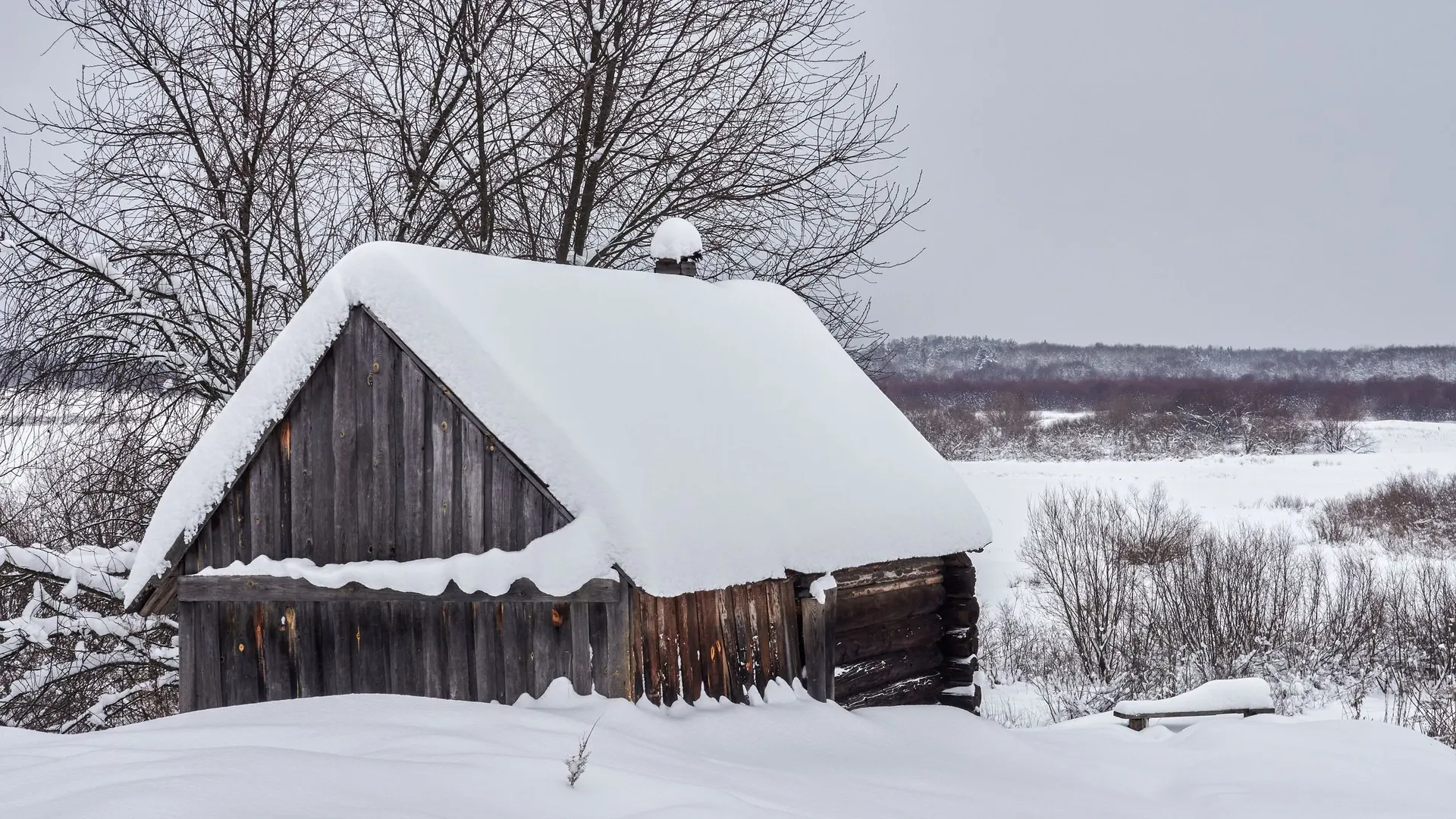 Фото: Valeriy Karpeev / Shutterstock / Fotodom