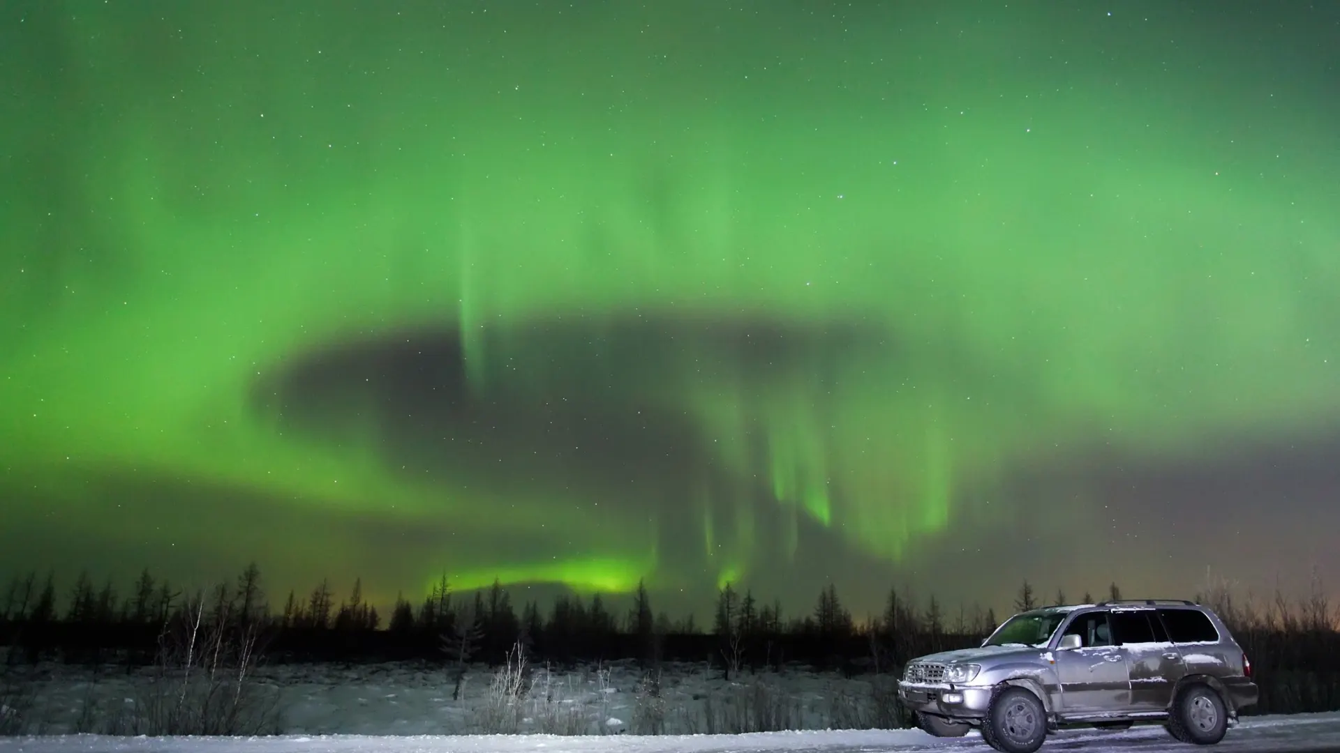 Фото: Art Konovalov/Shutterstock/Fotodom