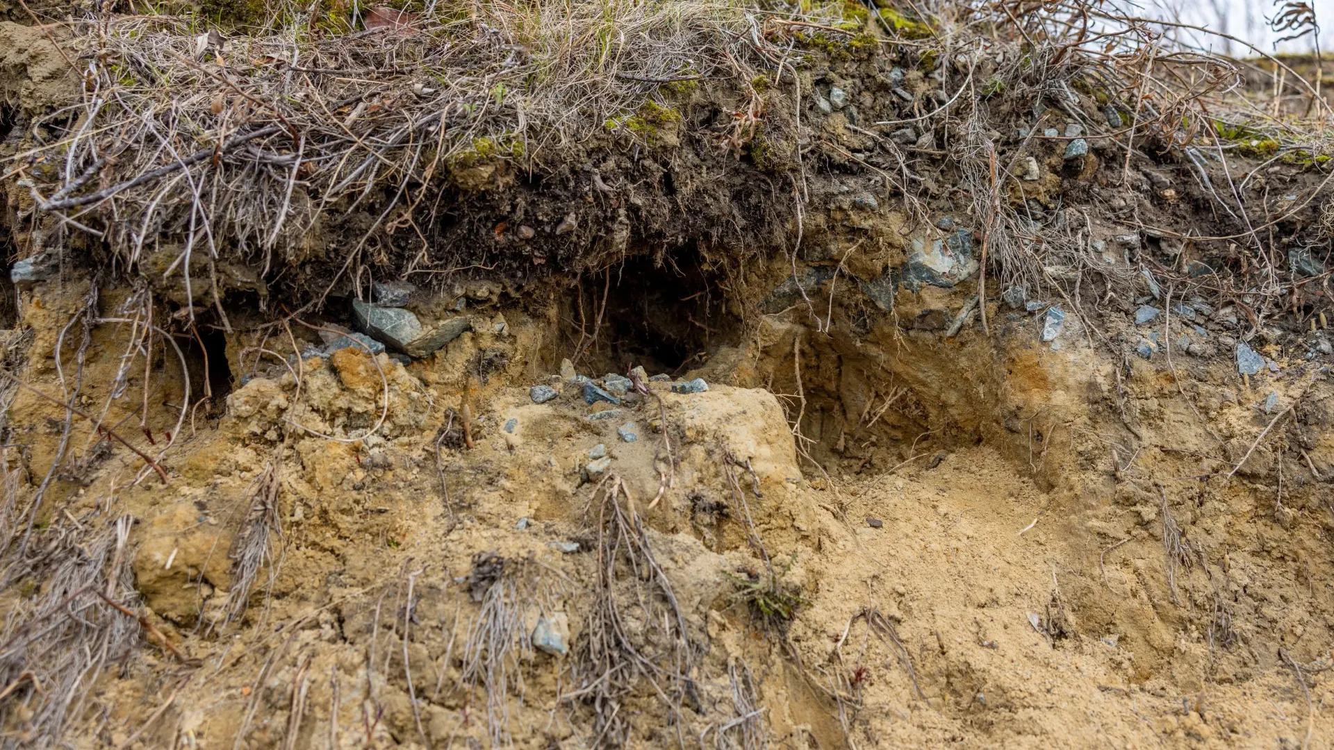 Фото: Федор Воронов / «Ямал-Медиа»